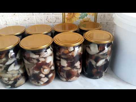 Видео: #Квашеные_грибы подтопольники. Проверенный классный рецепт!