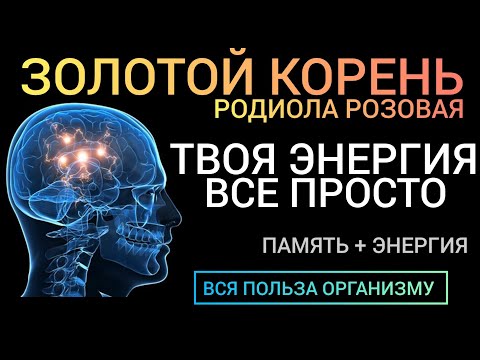 Видео: Родиола Розовая l Когда энергия на нуле l Польза и как принимать l Health Benefits of Rhodiola