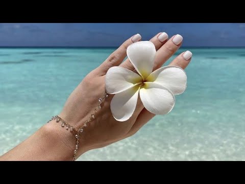 Видео: Муж купил мне растение моей мечты🪷