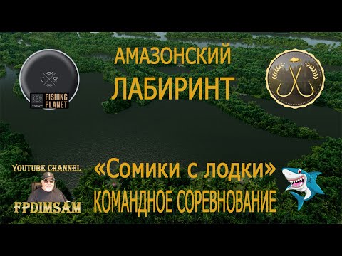 Видео: Fishing Planet. Амазонский Лабиринт. Сомики с лодки. Командное спонсорское соревнование