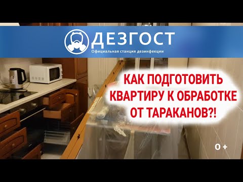 Видео: Как подготовить квартиру к обработке от тараканов. ДезГОСТ.