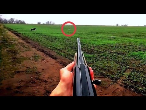 Видео: Охота на зайца!Два зайца за 15 минут!НАШЕЛ СТРАННЫЕ ВЕЩИ В СТЕПИ!