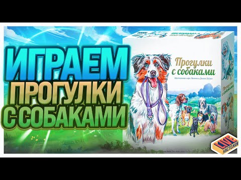 Видео: Играем в настольную игру Прогулки с Собаками
