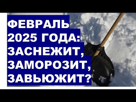 Видео: ФЕВРАЛЬ 2025? Начнется ли зима с вьюгой, снегом и морозами?