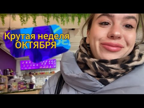 Видео: 🐸Все интересное 🌝Дни рождения, ремонт, итоговые собеседования