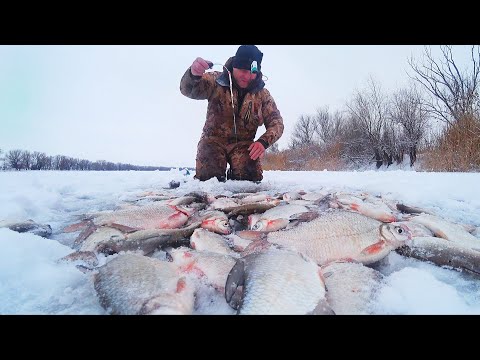 Видео: РЫБАЛКА ПО ПЕРВОМУ ЛЬДУ. КУЧА РЫБЫ С ОДНОЙ ЛУНКИ. Бешеный клёв. Зимняя рыбалка. Аэролодка.