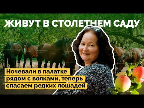 Видео: Строят дом из монолитного самана в вековом саду | Как я построил