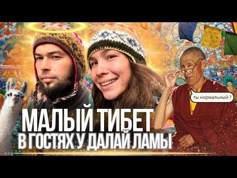 Видео: ДХАРАМСАЛА место где обитает душа  убежище Далай-Ламы в ГИМАЛАЯХ ИНДИЯ 2024