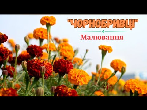 Видео: Малювання "Чорнобривці"