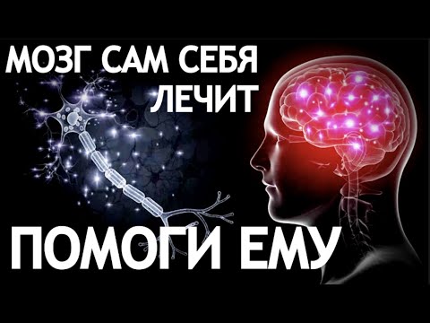 Видео: МОЗГ САМ СЕБЯ ЛЕЧИТ. ПОМОГИ ЕМУ.