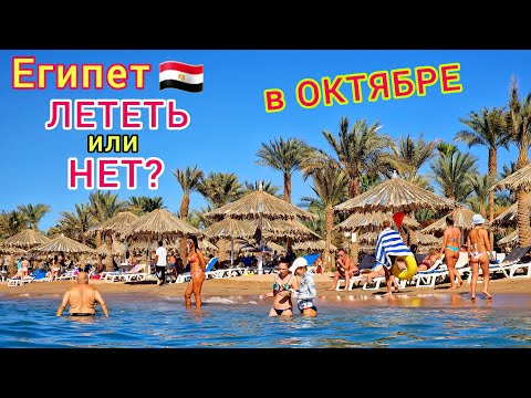 Видео: Египет в ОКТЯБРЕ 🇪🇬 ЦЕНЫ ПАДАЮТ❗Стоит ли ЕХАТЬ? Погода СЕЙЧАС. Какой КУРОРТ выбрать