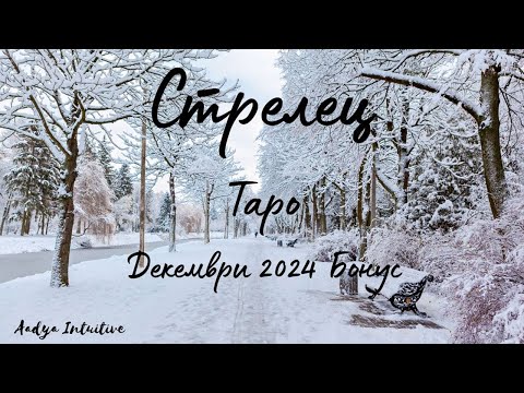 Видео: Стрелец ♐ Таро 🌻 На 180 градуса! Декември Бонус'24