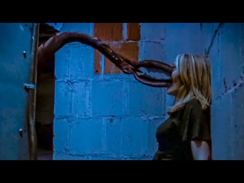 Видео: Обычные черепашки мутируют и превращаются в монстров выре3ая целый квартал... [краткий пересказ]