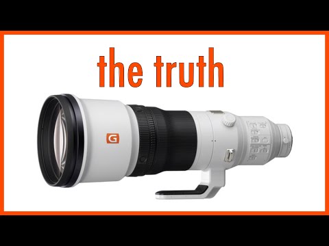Видео: Sony 600mm F4 против 200 600 для съёмки дикой природы