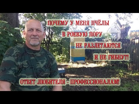 Видео: Почему пчёлы не роятся и не гибнут! Ответ любителя - профессионалам!