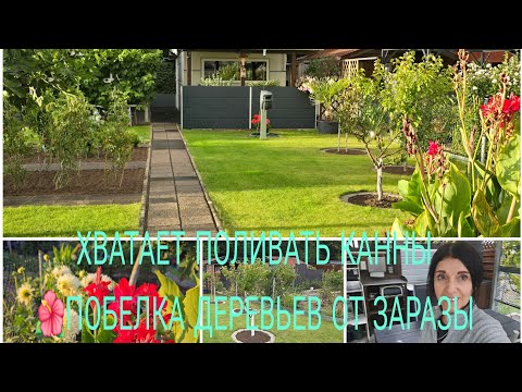 Видео: Vlog 🇩🇪 Наша Дача в Германии 🏕Работа Продолжается/ПОБЕЛКА ПЛОДОВЫХ ДЕРЕВЬЕВ 🌳ПЕРЕСТАЮ ПОЛИВАТЬ 🌺