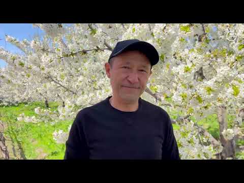 Видео: Лондон. Баҳром Абдухолиқов. Боғ маркази. Ва гўзал гуллар