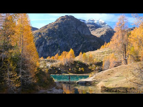 Видео: Путешествие по Швейцарии. Наедине с Природой | Switzerland. Alone with Nature