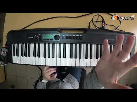 Видео: Синтезатор CASIO CT-S300