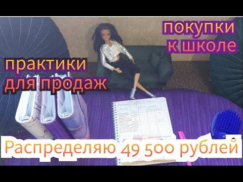 Видео: #25 Деньги по конвертам. Новые практики для продаж.Покупки к школе.Распределяю 49 500 рублей