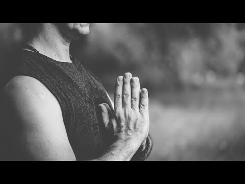 Видео: Динамичная хатха йога ВИНЬЯСА ФЛОУ - вечерняя практика онлайн , шавасана, пранаяма