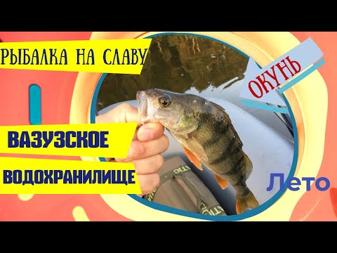 Видео: Вазузское водохранилище летом .Рыбалка на спиннинг.
