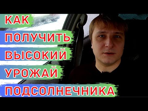 Видео: Схема питания для подсолнечника. Минеральные удобрения и листовые подкормки