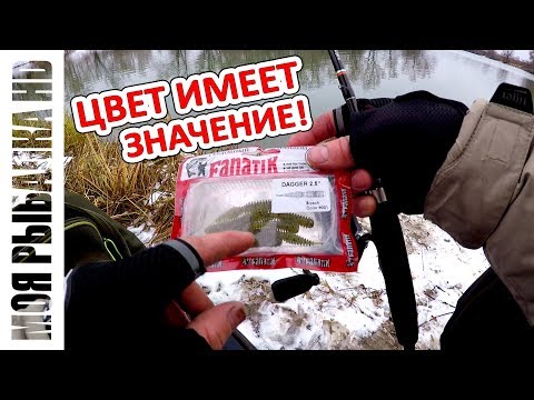 Видео: Капризный окунь | Выбор цвета приманки | Пришла зима | 2018