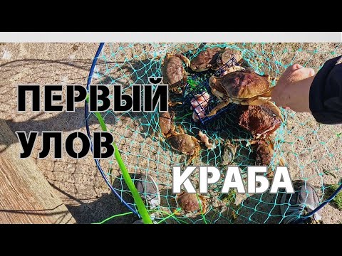 Видео: Первая рыбалка на краба