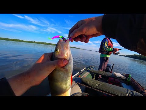 Видео: ПОПАЛИ на КЛЁВ | ВОДА КИПИТ от РЫБЫ | ЛОВЛЯ на РЕЗИНКИ и СПИННИНГ ЛЕТОМ