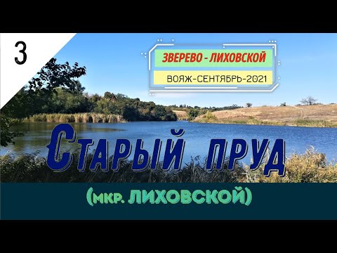 Видео: Старый ПРУД (Мкр.ЛИХОВСКОЙ)/#3 -Вояж -Сентябрь -2021