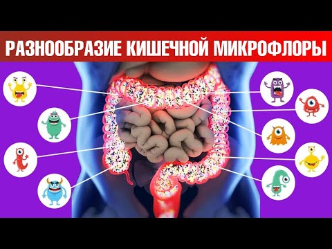 Видео: Как улучшить здоровье? Микрофлора кишечника – самое главное 🙌