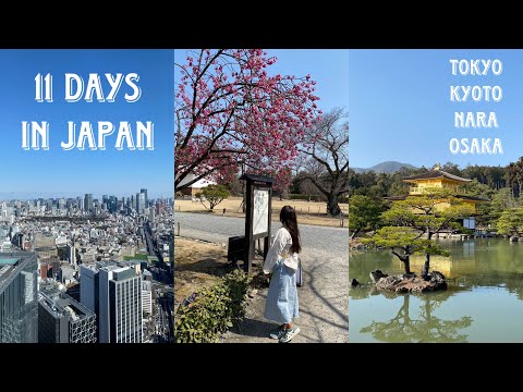 Видео: 11 дней в Японии: Токио, Киото, Осака, Нара