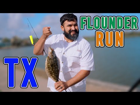 Видео: Ловля камбалы в Сибруке, Техас