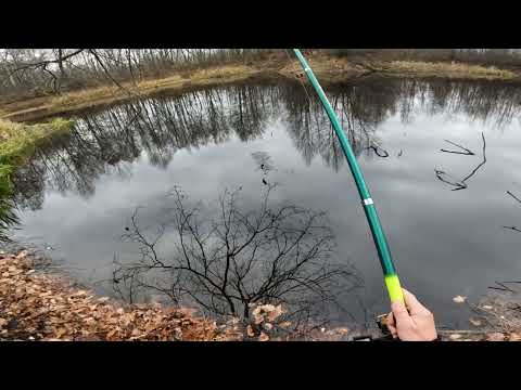 Видео: РЫБАЛКА НА ПОПЛАВОЧНУЮ УДОЧКУ 9 НОЯБРЯ