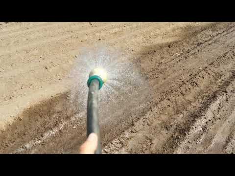 Видео: Сахарный Горошек не всходит или всходит плохо что делать! Сделайте так и Горох взойдёт дружно!