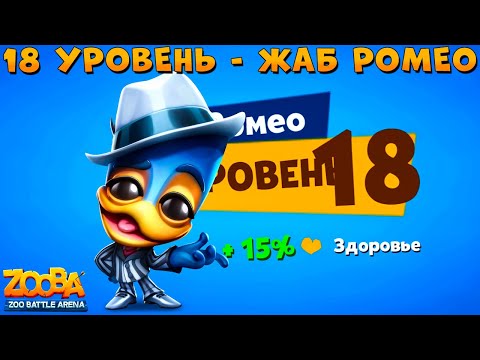 Видео: КАЧАЕМ 18 УРОВЕНЬ - СЕРДЦЕЕД РОМЕО В ИГРЕ ZOOBA
