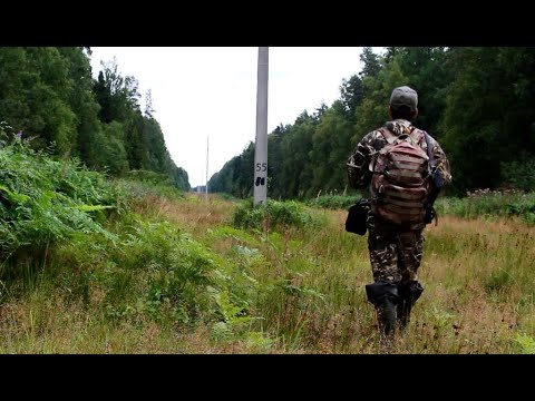 Видео: Охота с комбинашкой МР 94 "Север" Польза нарезного ствола.