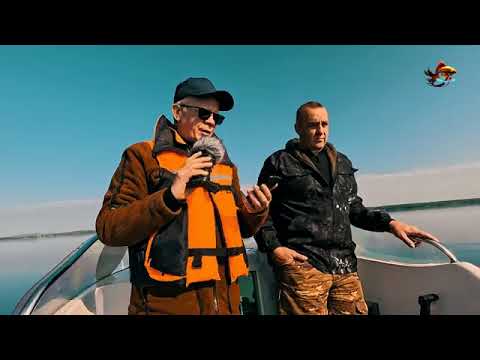 Видео: Путешествие по дну озер Увильды и Тургояк.