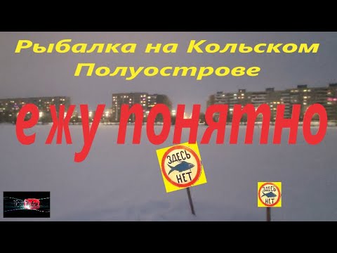 Видео: Рыбалка на Кольском Полуострове. Озеро Лумболка.