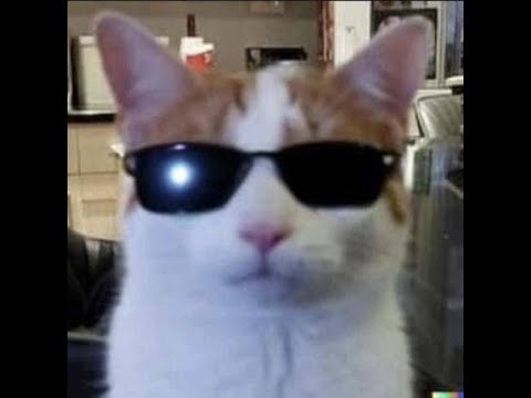 Видео: ВЕРНУЛИ СОТКУ!!! | RED-LABEL 100 | ПРИМОРСКИЙ | Prod.Steffashka