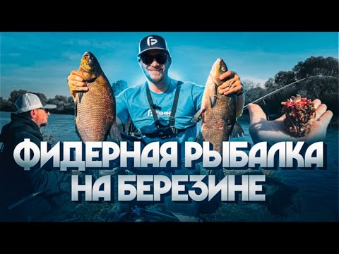 Видео: СЕКРЕТЫ ЛОВЛИ ЛЕЩА НА РЕКЕ! РЕКОРДНЫЕ ЛЕЩИ НА БЕРЕЗИНЕ
