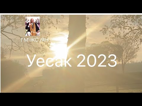 Видео: Уесак 2023 преживяване.