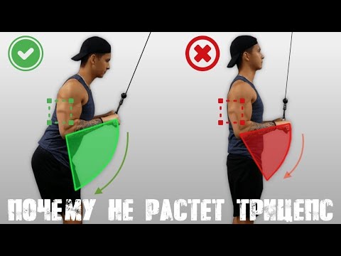 Видео: ТЫ НИКОГДА НЕ НАКАЧАЕШЬ ТРИЦЕПС - если не исправишь эти ошибки | Джереми Этье
