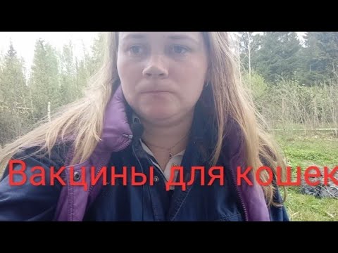 Видео: Выбираем вакцину кошке - Нобивак, Пуревакс, Мультифел. Плюсы и минусы.