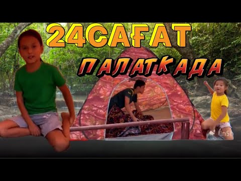 Видео: 24САҒ ПАЛАТКАДА 🥐🍅🍑түнде көрінген өтірік ақ адам😃✌️ #chelenge