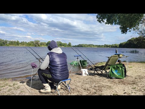 Видео: КЛЮЄ ЯК СКАЖЕНИЙ! Карасі на валеріанку.  Фідерна рибалка на Дніпрі 2024