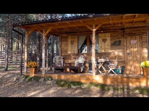 Видео: 🏡🌲🍁ГОРСКАТА НИ КЪЩИЧКА ОТВЪТРЕ#cabinhouse#offgridliving#сглобяемакъща#offgrid#есен#малкакъща#вила#