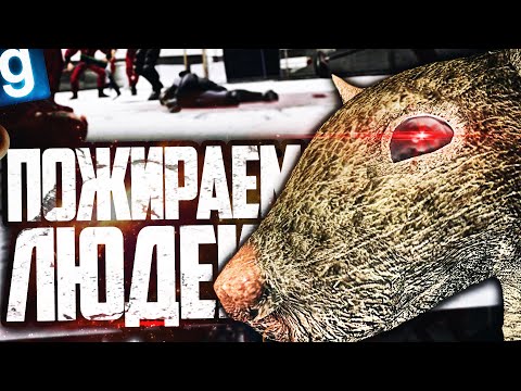 Видео: СТАЯ КРЫС-ЛЮДОЕДОВ КОШМАРИТ КОМПЛЕКС И ЖРЕТ ЛЮДЕЙ! ИГРАЮ ЗА КРЫСУ в GARRY'S MOD SCP RP