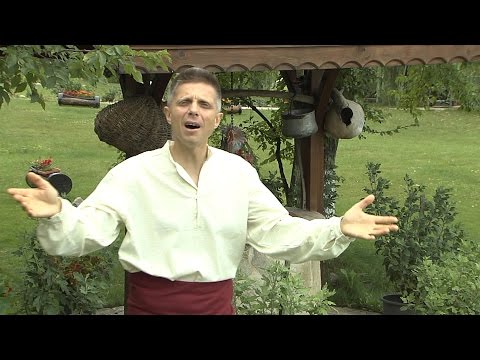 Видео: Сунай Чалъков - Снощи седенки кладохме